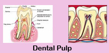 Root canal therapy,Root canal therapy India