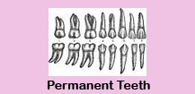 Dental treatment,Dental treatment in India